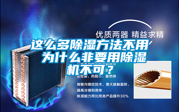 這么多除濕方法不用 為什么非要用除濕機(jī)不可?