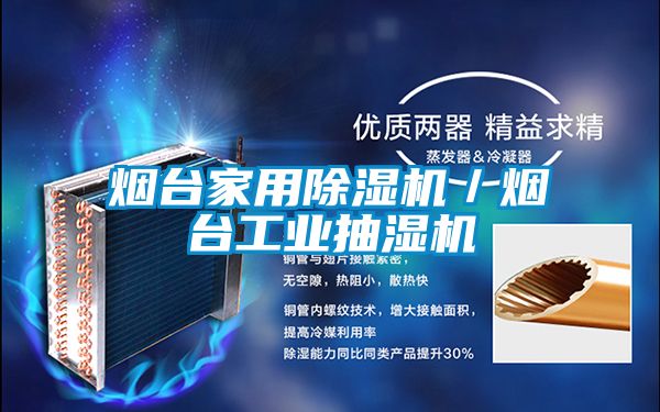 煙臺(tái)家用除濕機(jī)／煙臺(tái)工業(yè)抽濕機(jī)
