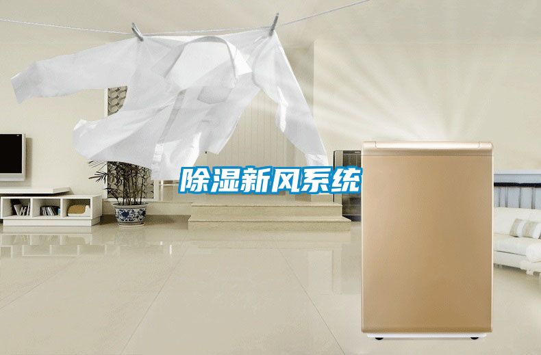 除濕新風系統(tǒng)