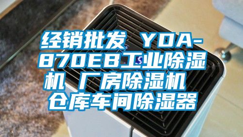 經(jīng)銷批發(fā) YDA-870EB工業(yè)除濕機(jī) 廠房除濕機(jī) 倉(cāng)庫(kù)車間除濕器