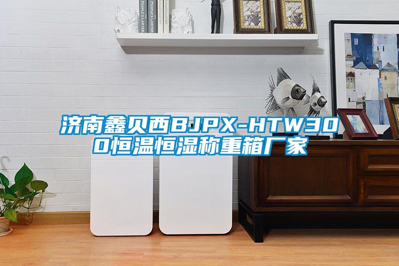 濟(jì)南鑫貝西BJPX-HTW300恒溫恒濕稱(chēng)重箱廠家