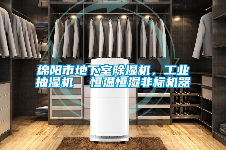 綿陽市地下室除濕機,工業抽濕機 恒溫恒濕非標機器