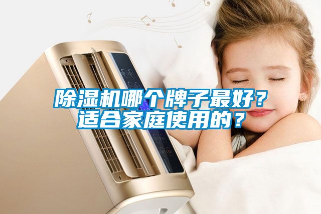 除濕機哪個牌子最好?適合家庭使用的?