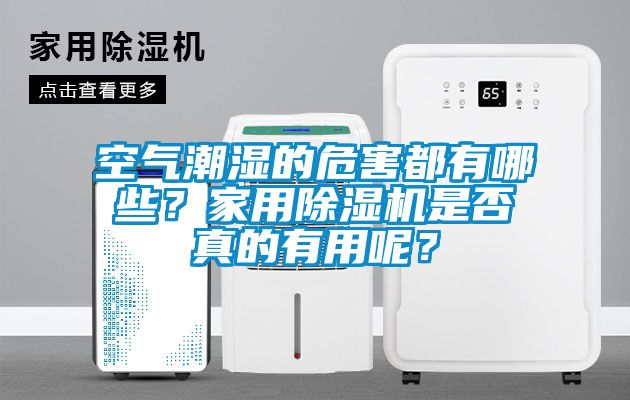空氣潮濕的危害都有哪些？家用除濕機是否真的有用呢？