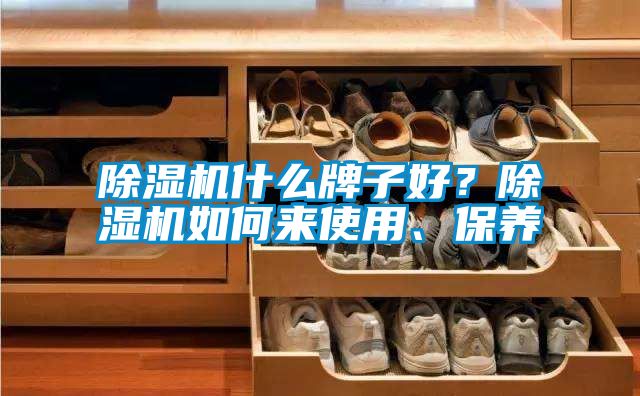 除濕機什么牌子好？除濕機如何來使用、保養(yǎng)