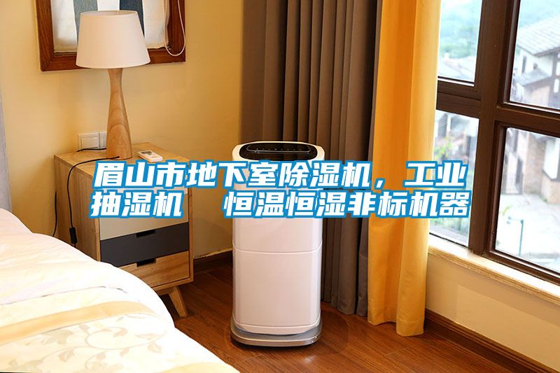 眉山市地下室除濕機，工業抽濕機  恒溫恒濕非標機器