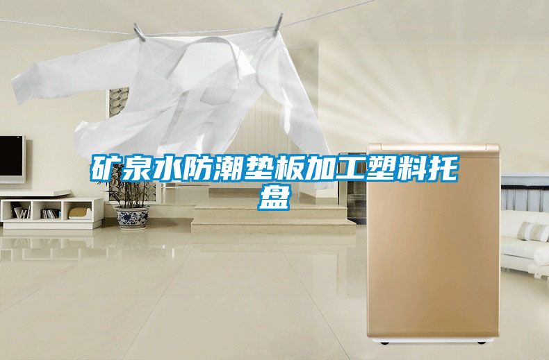 礦泉水防潮墊板加工塑料托盤(pán)