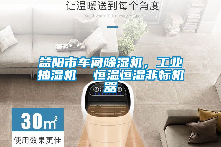 益陽市車間除濕機，工業抽濕機  恒溫恒濕非標機器