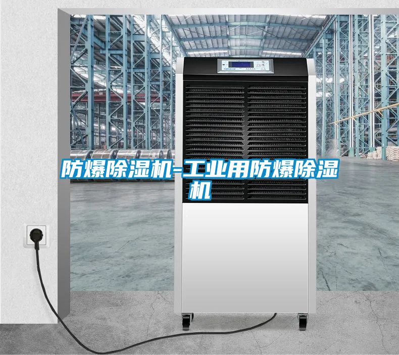 防爆除濕機-工業(yè)用防爆除濕機