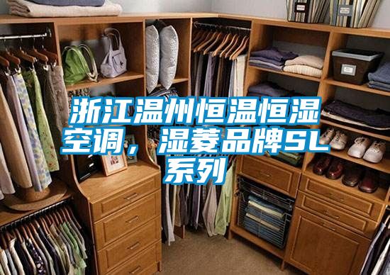 浙江溫州恒溫恒濕空調(diào),濕菱品牌SL系列