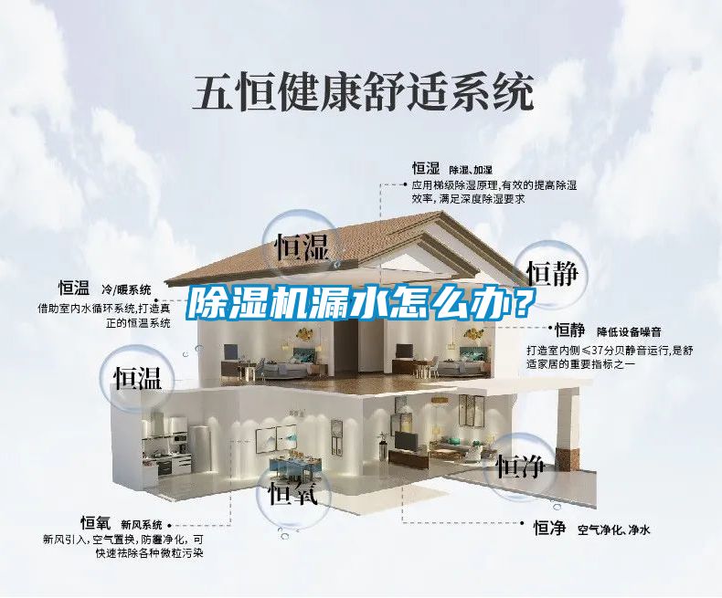 除濕機漏水怎么辦？