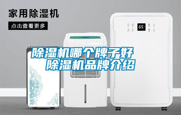 除濕機(jī)哪個(gè)牌子好 除濕機(jī)品牌介紹