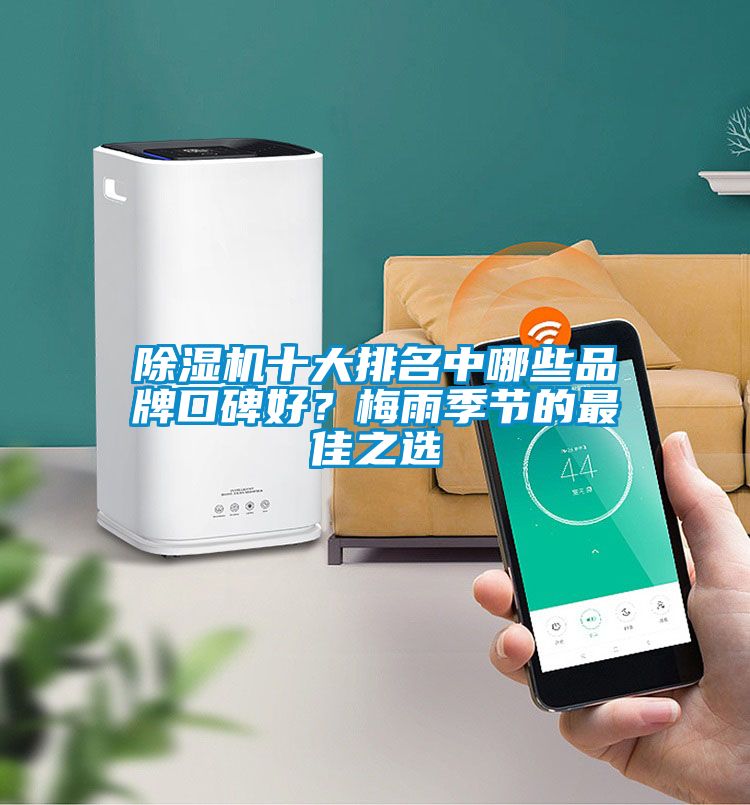 除濕機(jī)十大排名中哪些品牌口碑好？梅雨季節(jié)的最佳之選