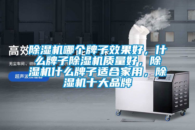 除濕機哪個牌子效果好，什么牌子除濕機質(zhì)量好，除濕機什么牌子適合家用，除濕機十大品牌