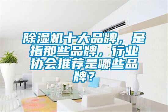 除濕機(jī)十大品牌，是指那些品牌，行業(yè)協(xié)會(huì)推薦是哪些品牌？