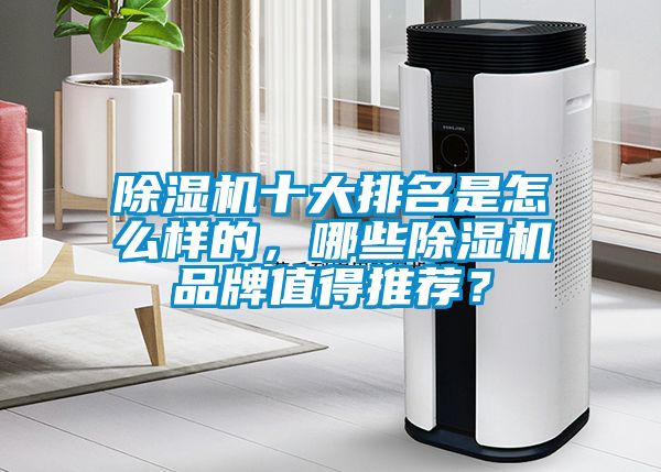 除濕機(jī)十大排名是怎么樣的，哪些除濕機(jī)品牌值得推薦？