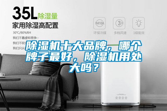 除濕機(jī)十大品牌，哪個(gè)牌子最好，除濕機(jī)用處大嗎？