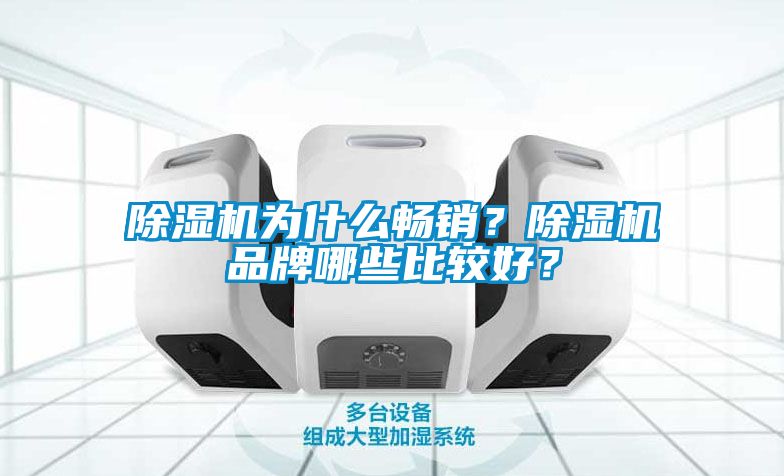 除濕機為什么暢銷?除濕機品牌哪些比較好?