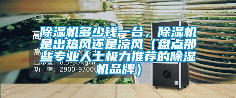 除濕機多少錢一臺，除濕機是出熱風(fēng)還是涼風(fēng)（盤點那些專業(yè)人士極力推薦的除濕機品牌）