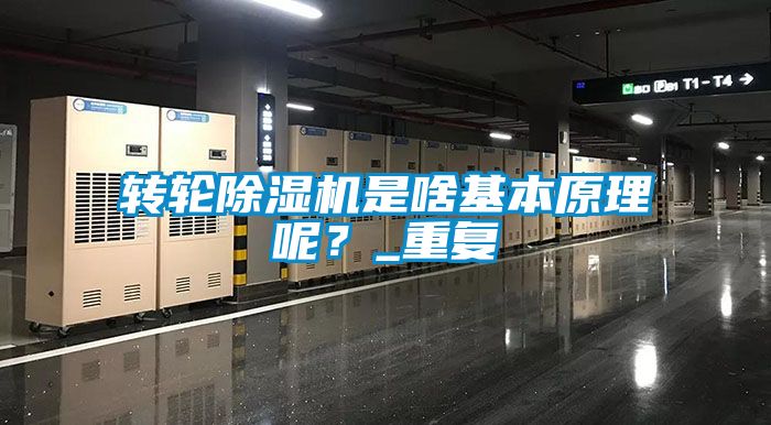 轉(zhuǎn)輪除濕機是啥基本原理呢?_重復