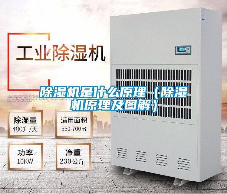 除濕機是什么原理(除濕機原理及圖解)