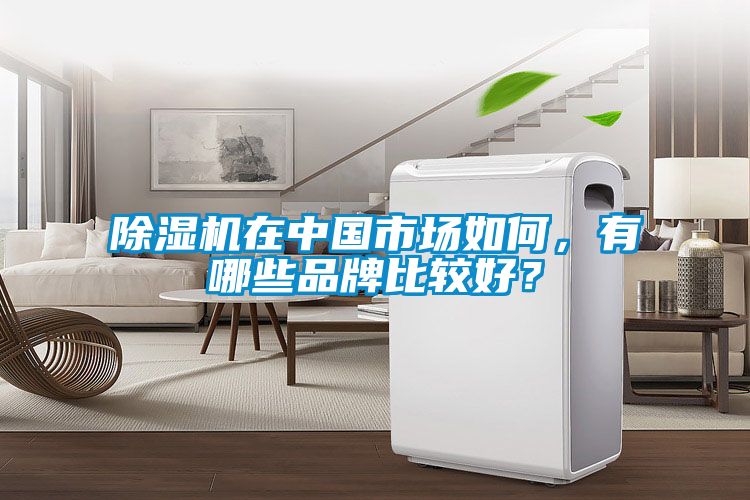 除濕機在中國市場如何,有哪些品牌比較好?