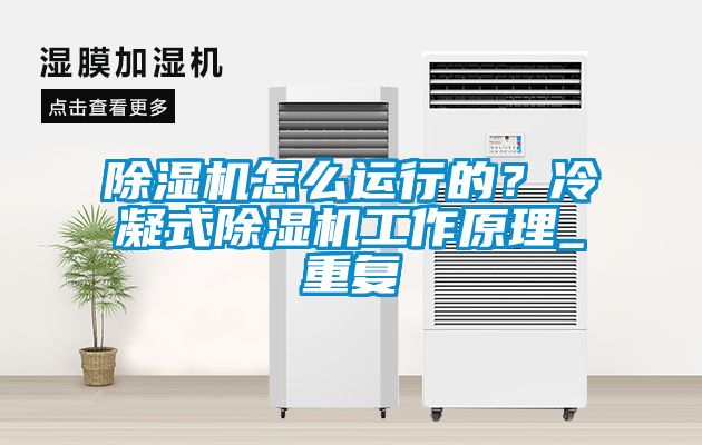 除濕機怎么運行的？冷凝式除濕機工作原理_重復