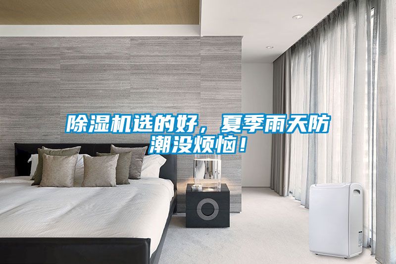 除濕機選的好，夏季雨天防潮沒煩惱！