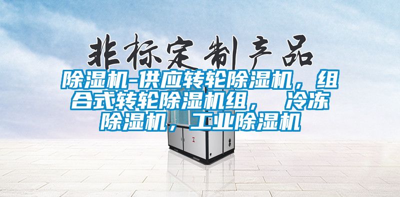 除濕機-供應轉輪除濕機，組合式轉輪除濕機組， 冷凍除濕機，工業(yè)除濕機