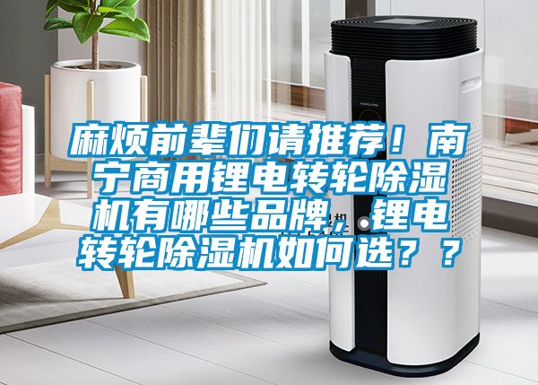 麻煩前輩們請推薦！南寧商用鋰電轉輪除濕機有哪些品牌，鋰電轉輪除濕機如何選？？